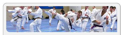 Adult Karate Classes