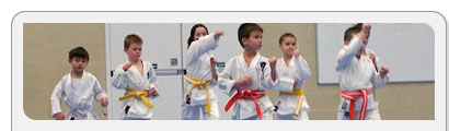 karate kids