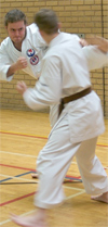 adult karate classes