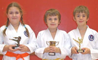 Karate Awards